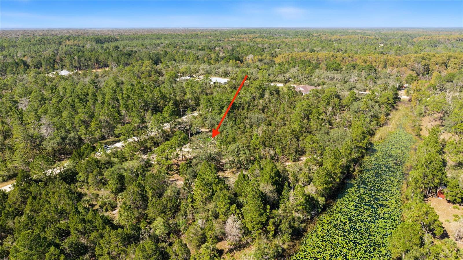18182 RAPIDAN ROAD, Weeki Wachee, FL 34614 18182 RAPIDAN ROAD, Weeki Wachee, FL 34614