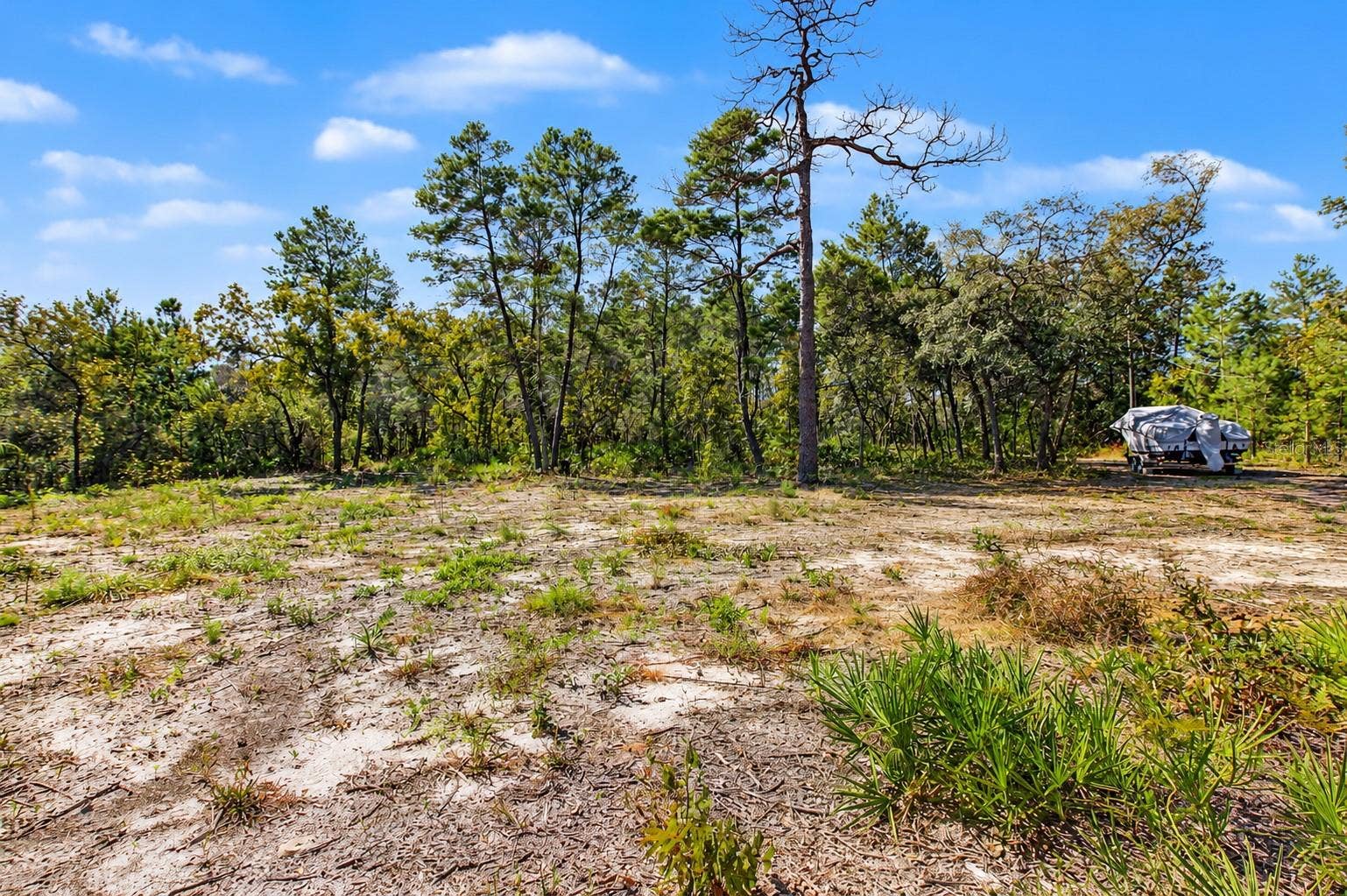 18182 RAPIDAN ROAD, Weeki Wachee, FL 34614 18182 RAPIDAN ROAD, Weeki Wachee, FL 34614
