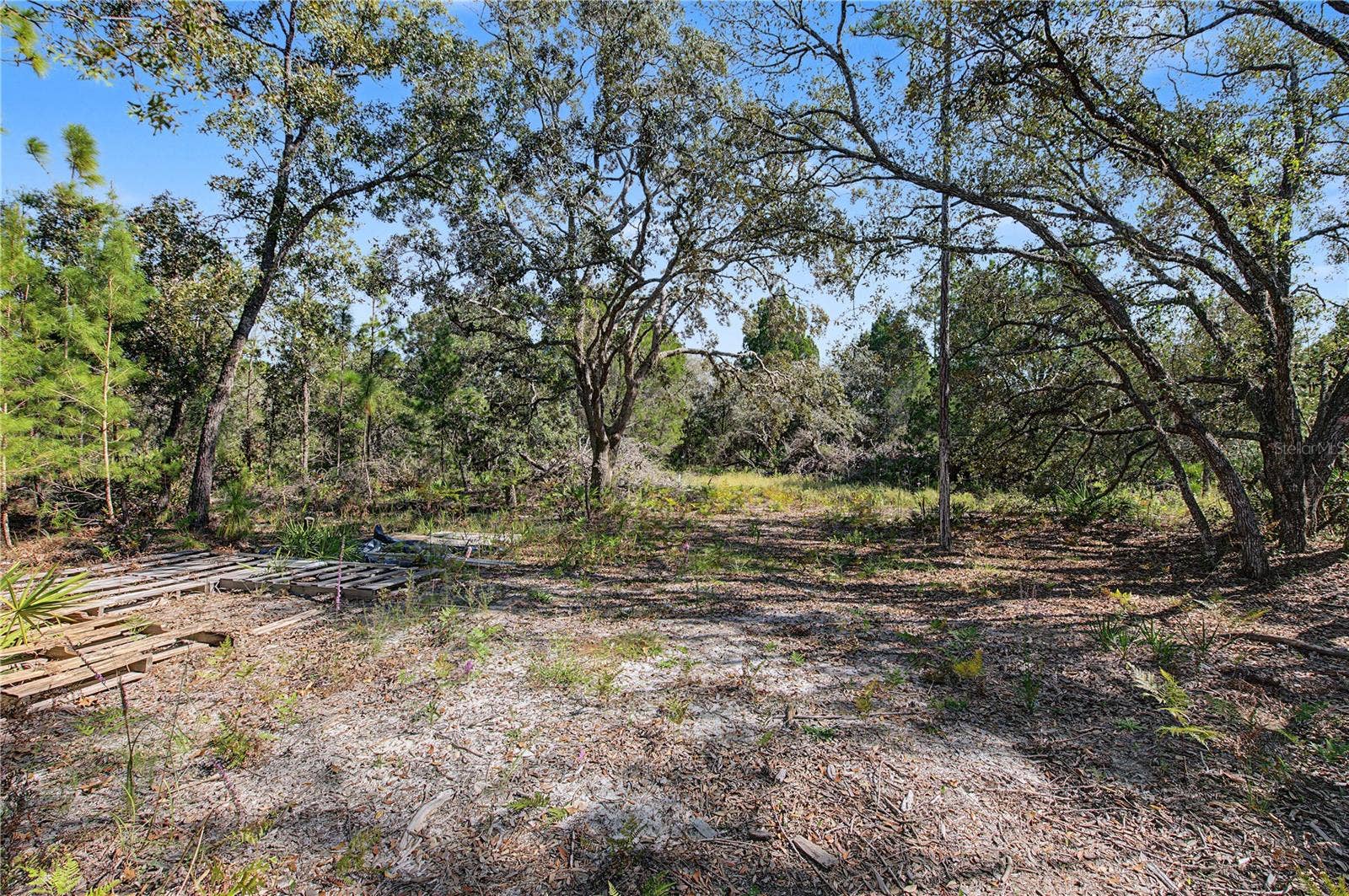 18182 RAPIDAN ROAD, Weeki Wachee, FL 34614 18182 RAPIDAN ROAD, Weeki Wachee, FL 34614