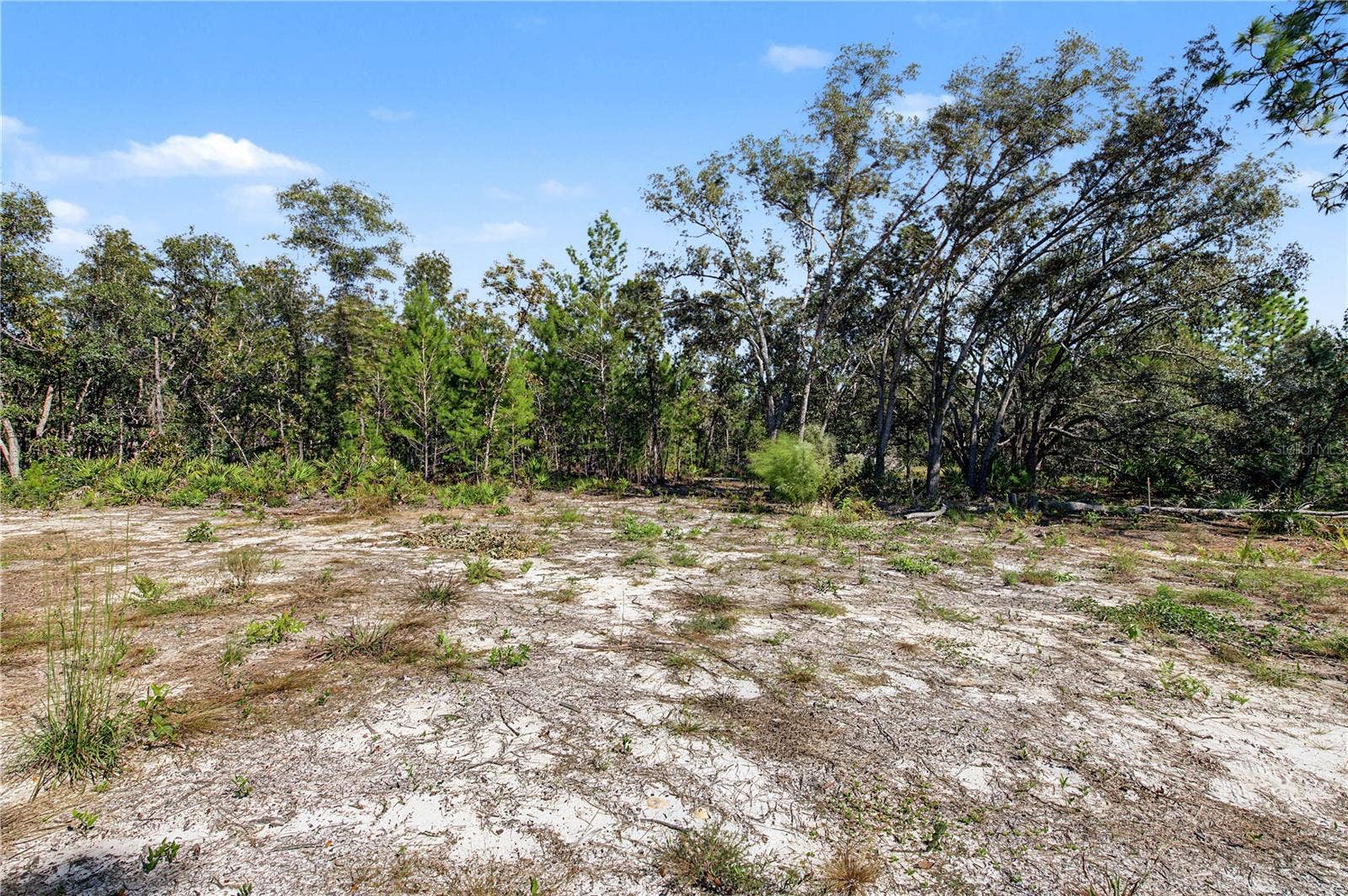 18182 RAPIDAN ROAD, Weeki Wachee, FL 34614 18182 RAPIDAN ROAD, Weeki Wachee, FL 34614