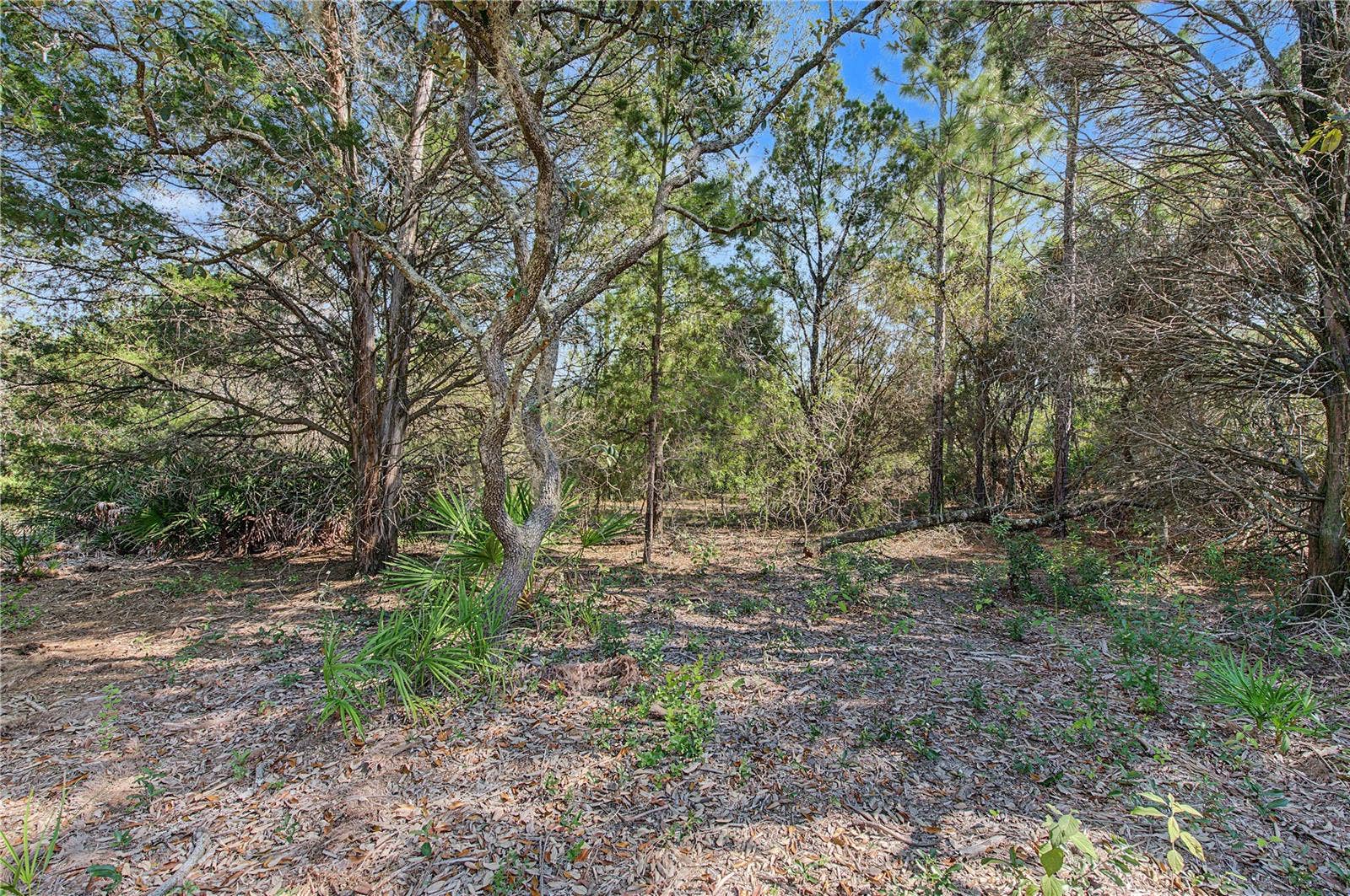 18182 RAPIDAN ROAD, Weeki Wachee, FL 34614 18182 RAPIDAN ROAD, Weeki Wachee, FL 34614