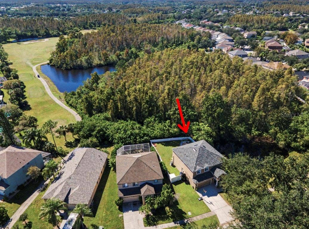 19266 FISHERMANS BEND DRIVE, Lutz, FL 33558 Aerial