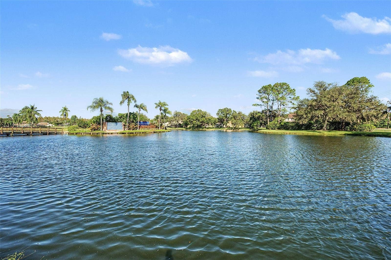 19266 FISHERMANS BEND DRIVE, Lutz, FL 33558 19266 FISHERMANS BEND DRIVE, Lutz, FL 33558