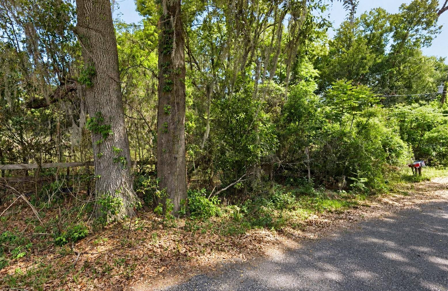 NE 175TH STREET, Citra, FL 32113 NE 175TH STREET, Citra, FL 32113