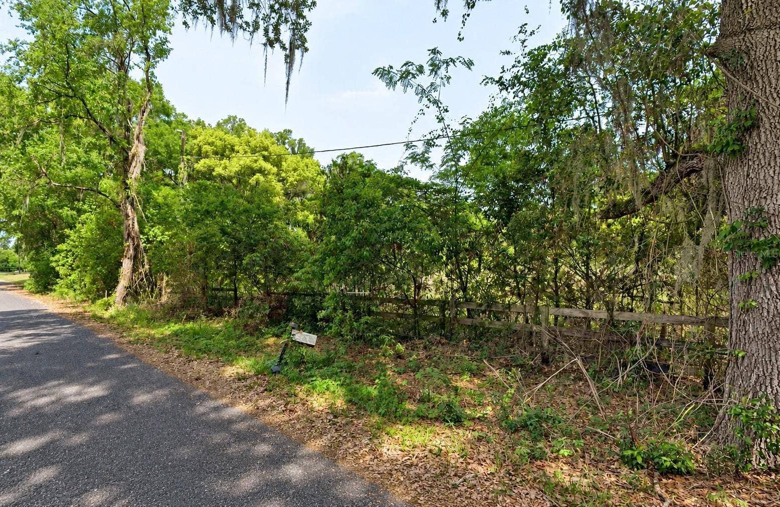 NE 175TH STREET, Citra, FL 32113 NE 175TH STREET, Citra, FL 32113