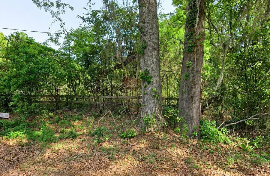Property photo for NE 175TH STREET, Citra, FL