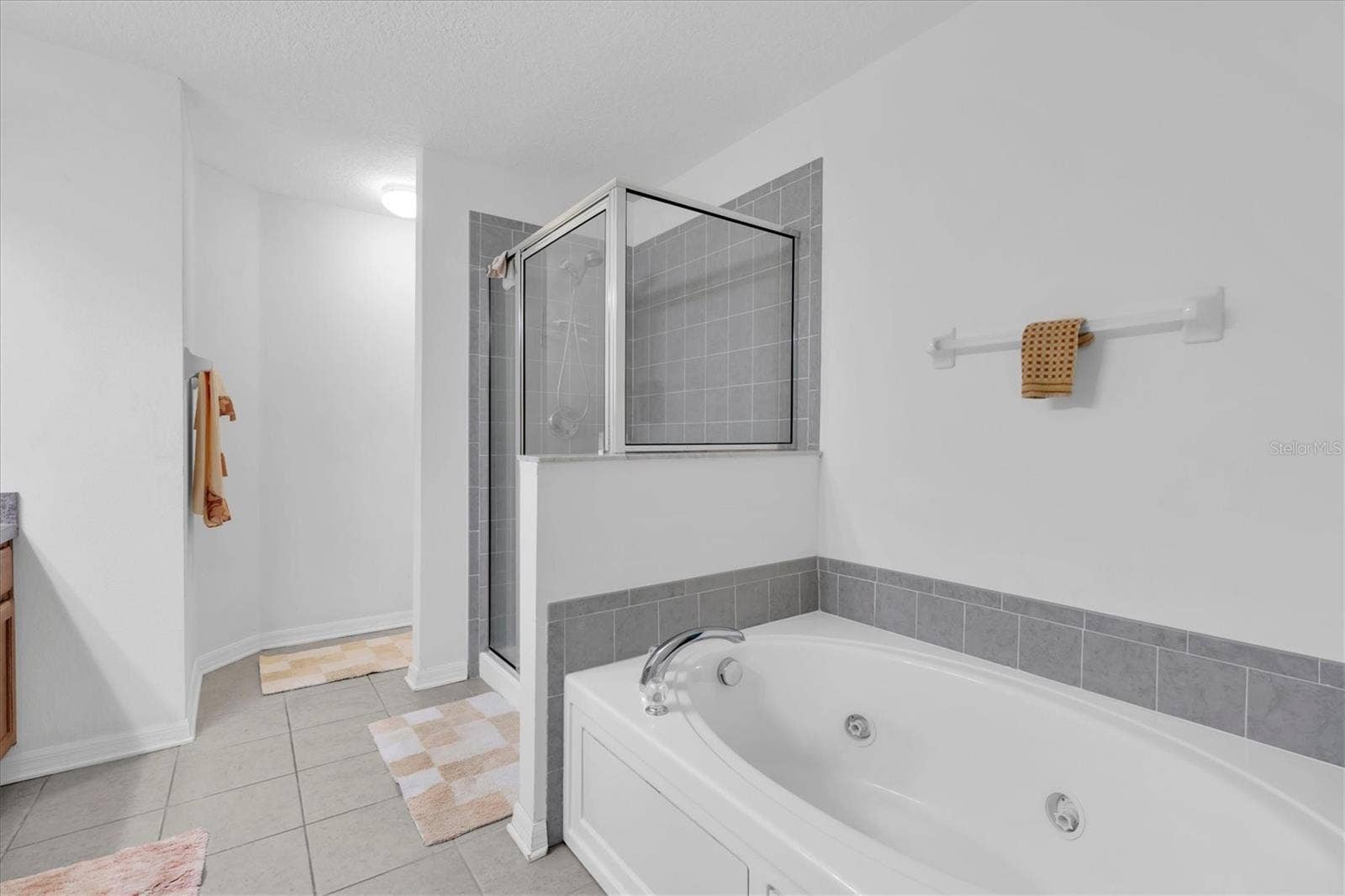10608 SHADY FALLS COURT, Riverview, FL 33578