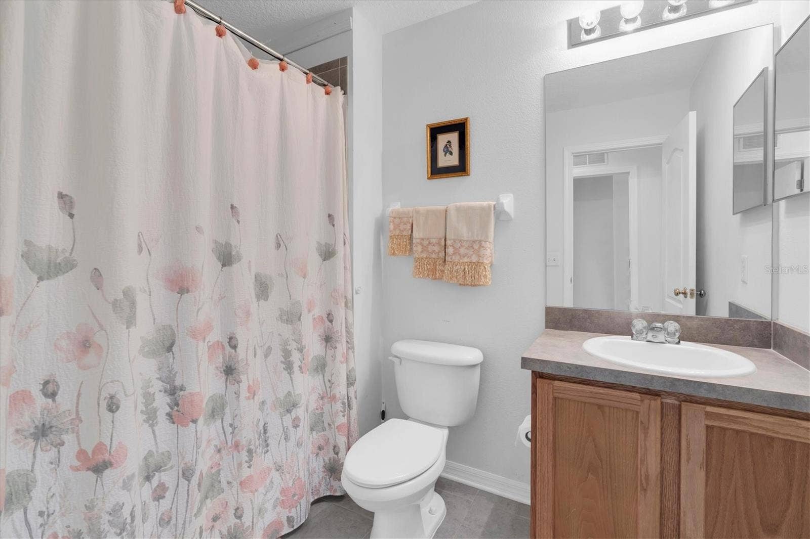 10608 SHADY FALLS COURT, Riverview, FL 33578