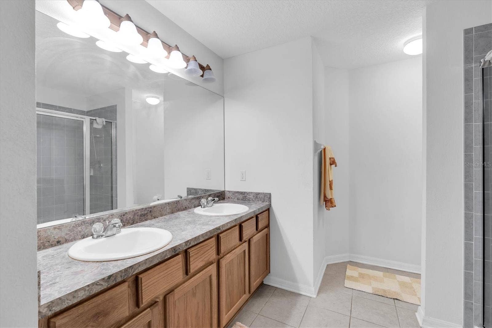 10608 SHADY FALLS COURT, Riverview, FL 33578