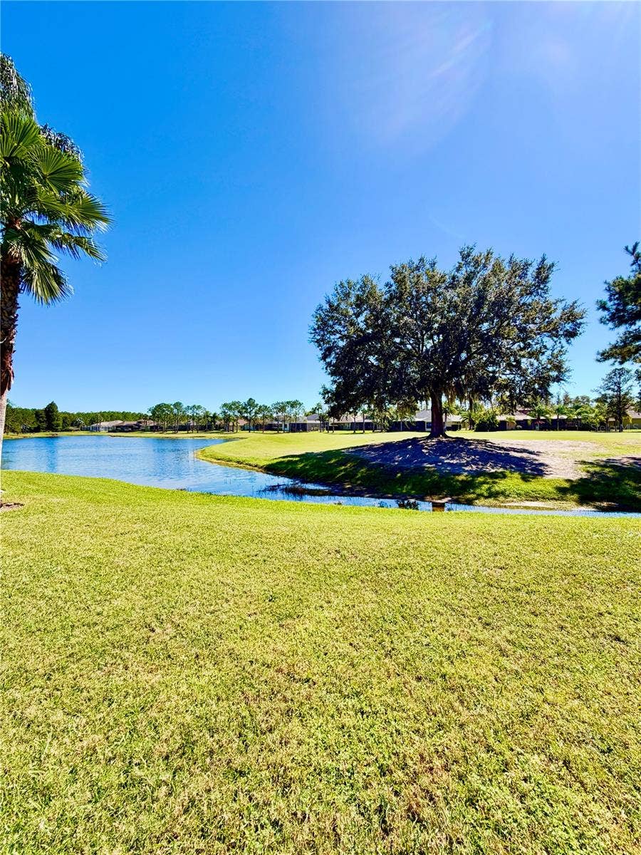 23824 PLANTATION PALMS BOULEVARD, Land O Lakes, FL 34639 23824 PLANTATION PALMS BOULEVARD, Land O Lakes, FL 34639