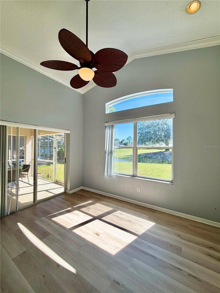 23824 PLANTATION PALMS BOULEVARD, Land O Lakes, FL 34639 23824 PLANTATION PALMS BOULEVARD, Land O Lakes, FL 34639