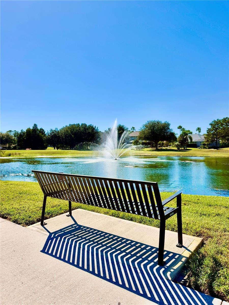 23824 PLANTATION PALMS BOULEVARD, Land O Lakes, FL 34639 23824 PLANTATION PALMS BOULEVARD, Land O Lakes, FL 34639