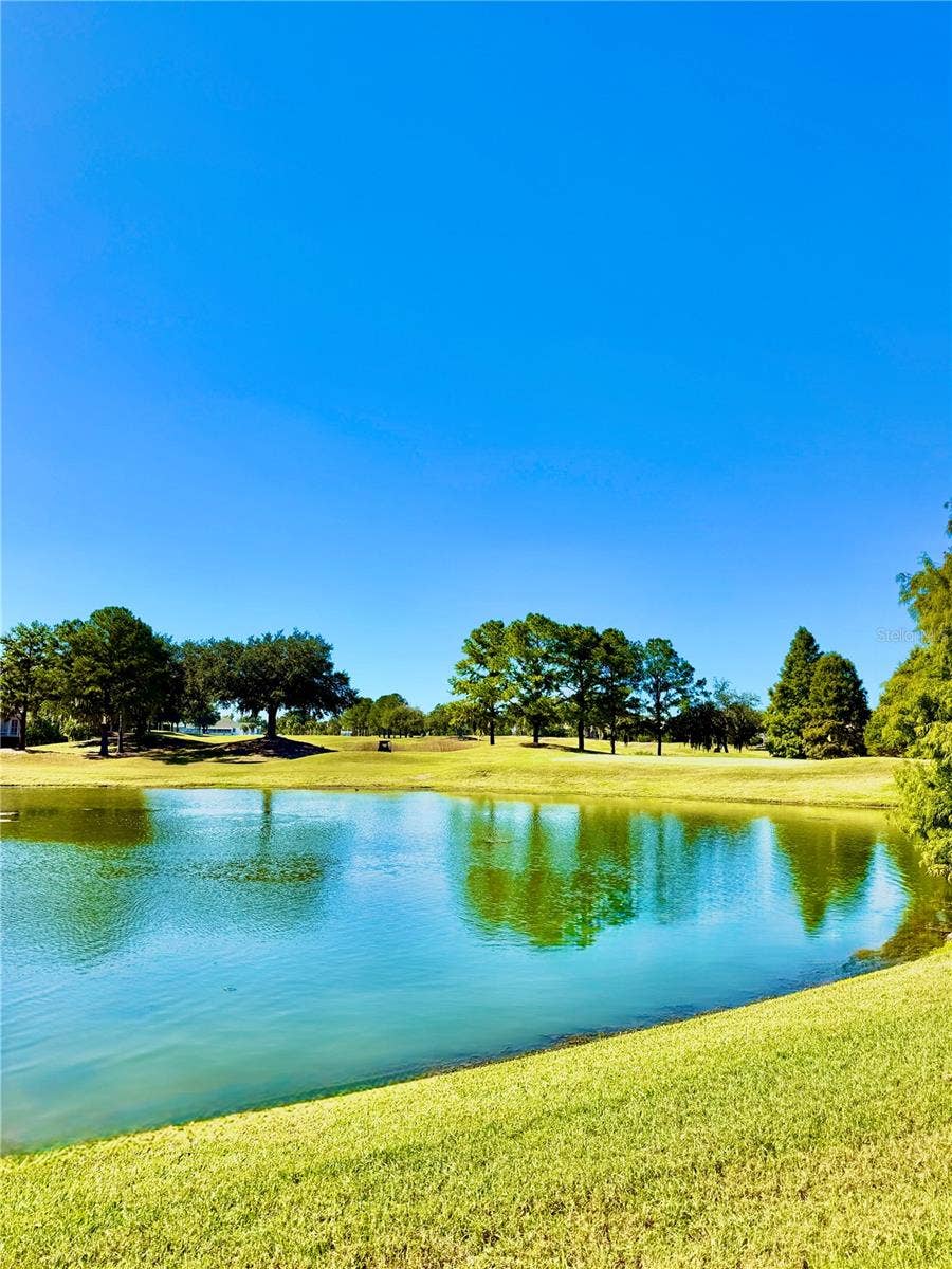 23824 PLANTATION PALMS BOULEVARD, Land O Lakes, FL 34639 23824 PLANTATION PALMS BOULEVARD, Land O Lakes, FL 34639