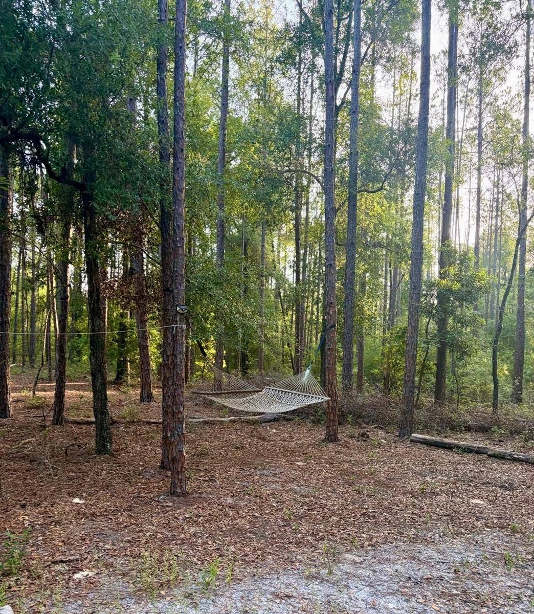 NE 80 AVENUE, High Springs, FL 32643 NE 80 AVENUE, High Springs, FL 32643