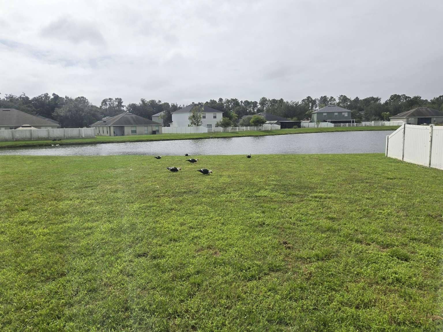 2462 HARRISON PLACE BOULEVARD, Lakeland, FL 33810 2462 HARRISON PLACE BOULEVARD, Lakeland, FL 33810