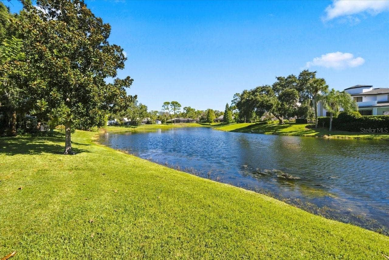 4110 CARROLLWOOD VILLAGE DRIVE, Tampa, FL 33618