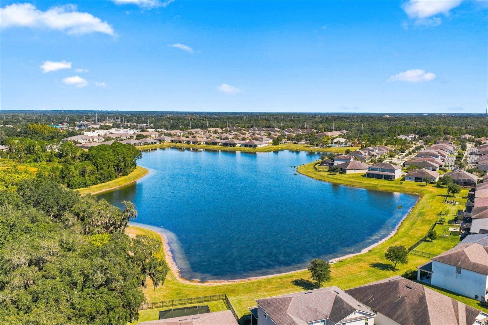 11417 BLUE WOODS DRIVE, Riverview, FL 33569 11417 BLUE WOODS DRIVE, Riverview, FL 33569