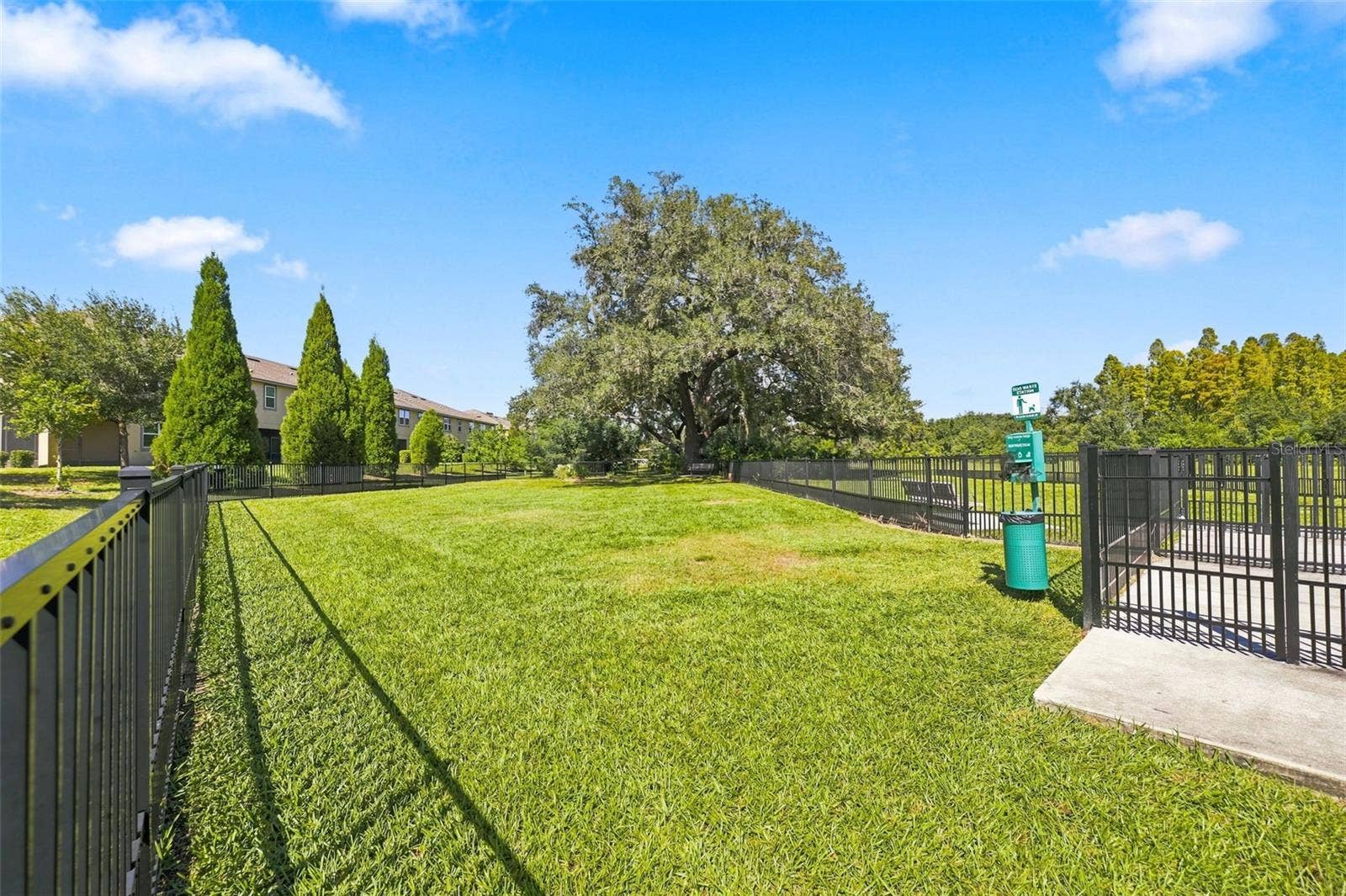 11417 BLUE WOODS DRIVE, Riverview, FL 33569 11417 BLUE WOODS DRIVE, Riverview, FL 33569