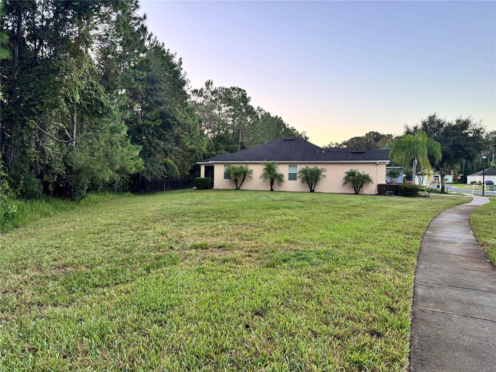 Non-buildable lot next to home