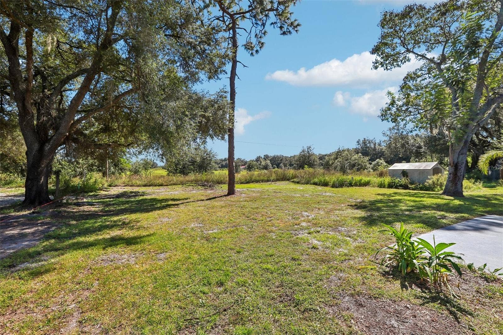 39720 MEADOWOOD LOOP, Zephyrhills, FL 33542 39720 MEADOWOOD LOOP, Zephyrhills, FL 33542