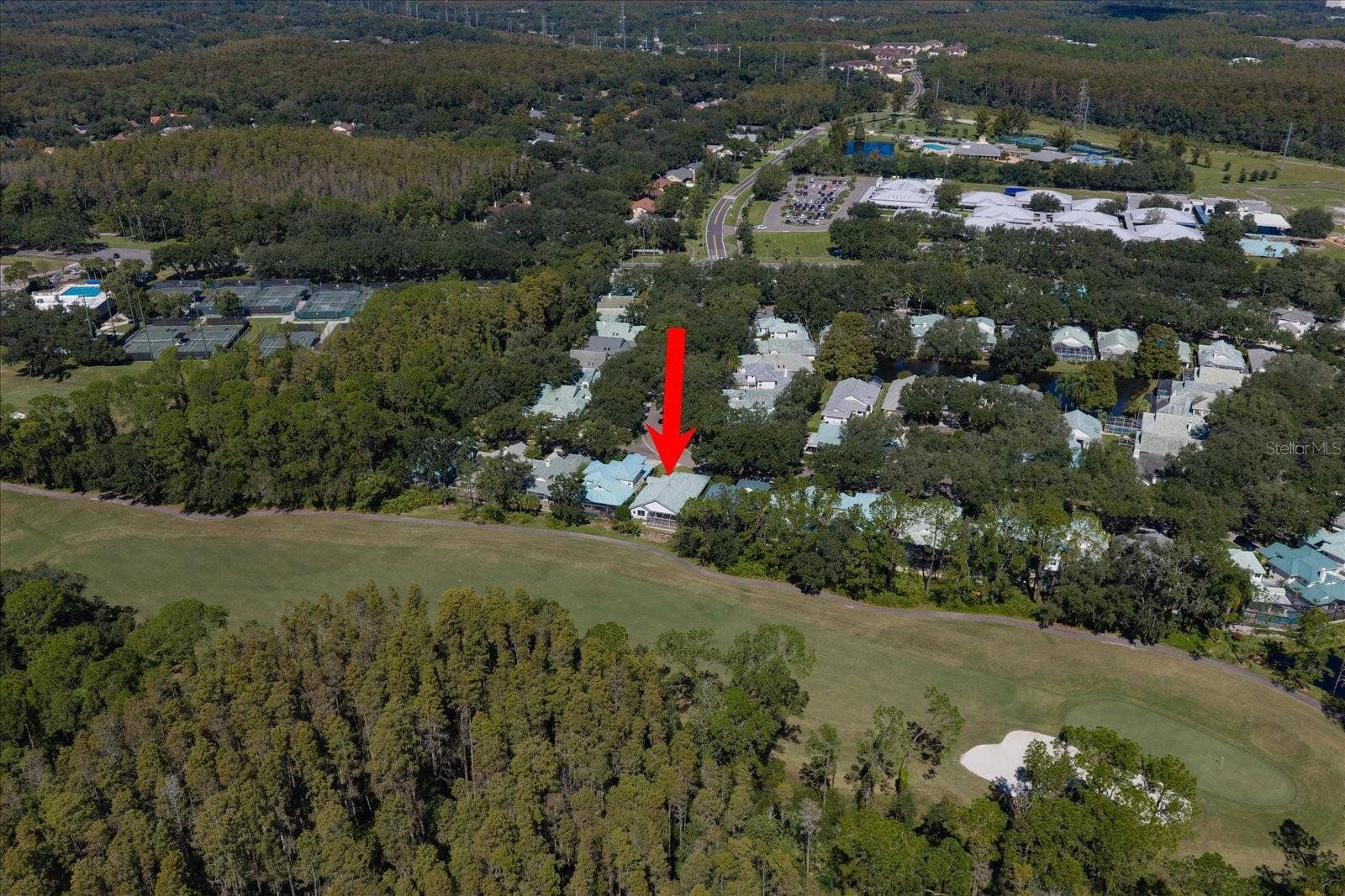 15872 SANCTUARY DRIVE, Tampa, FL 33647