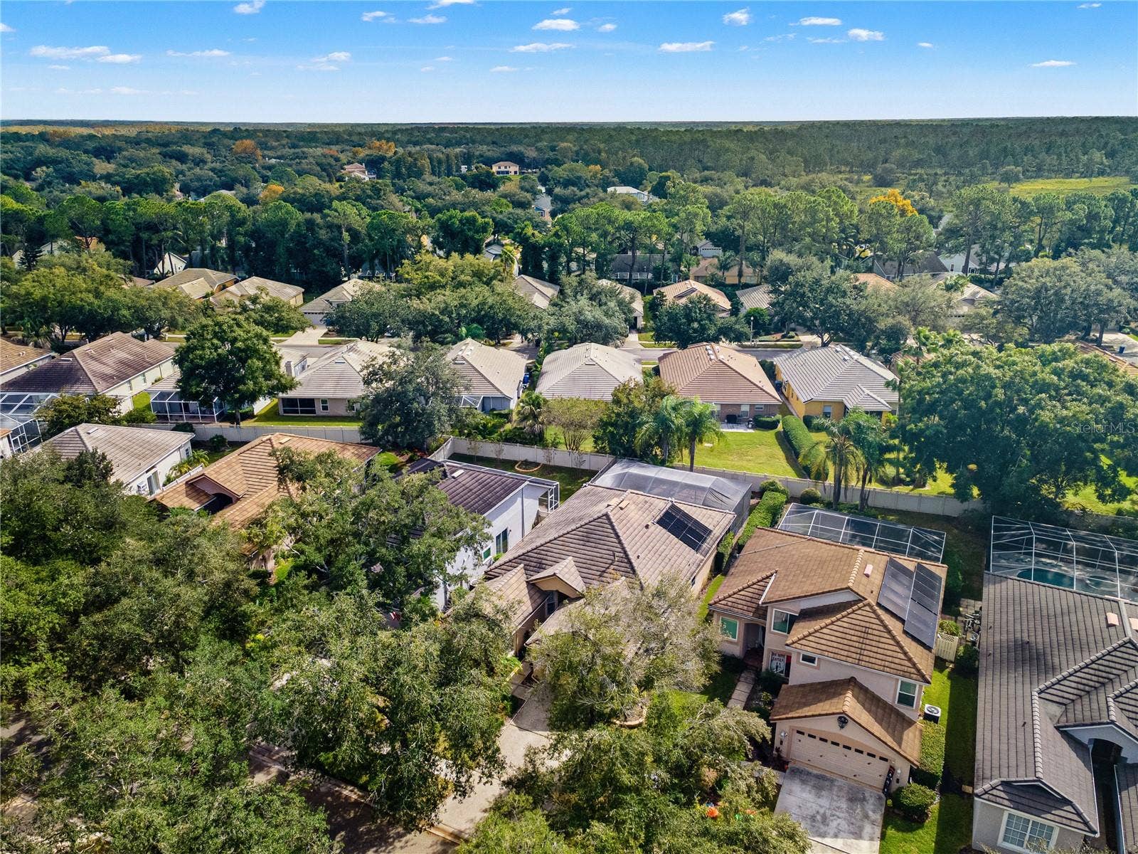 17725 NATHANS DRIVE, Tampa, FL 33647 17725 NATHANS DRIVE, Tampa, FL 33647