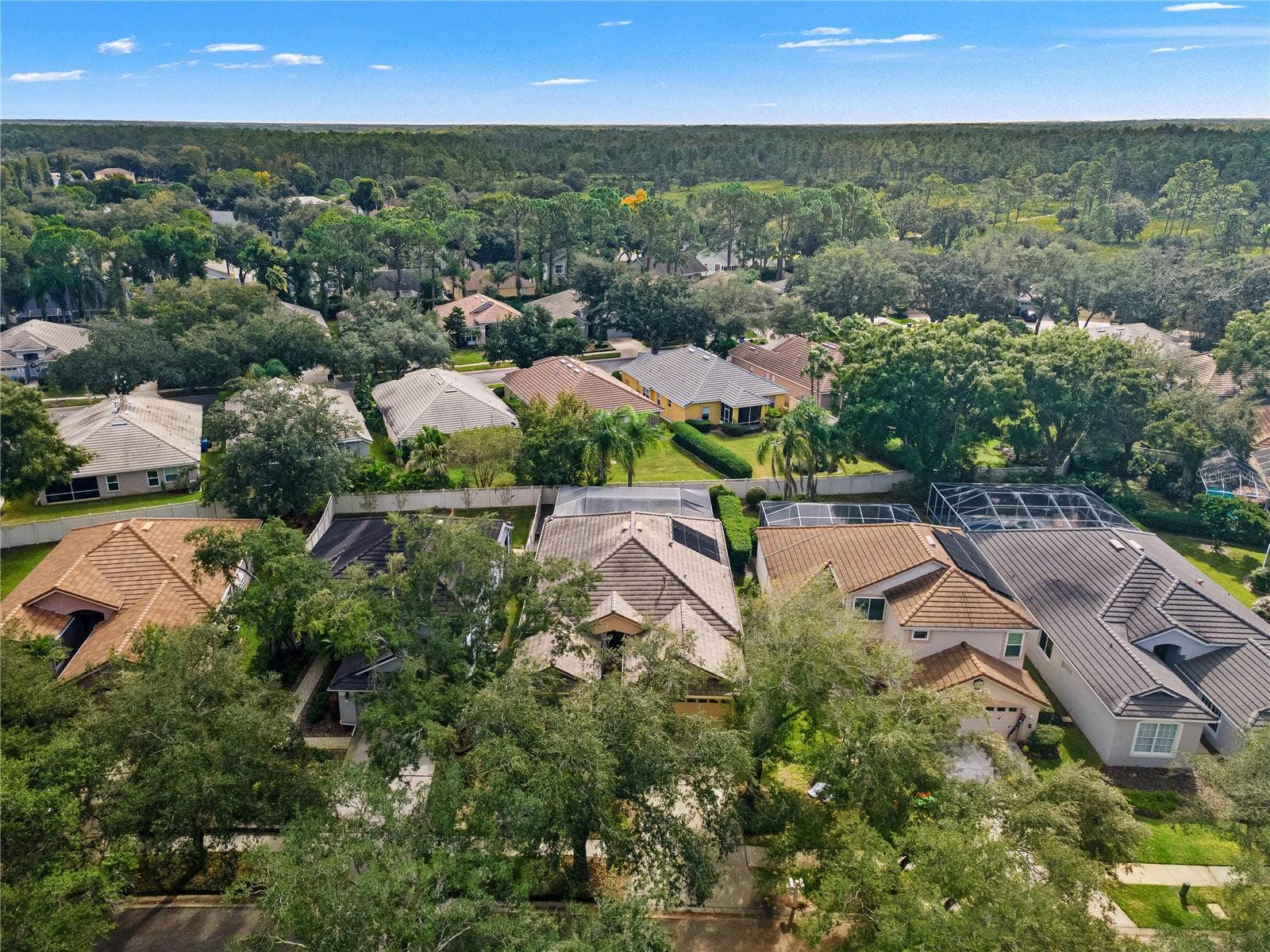 17725 NATHANS DRIVE, Tampa, FL 33647 17725 NATHANS DRIVE, Tampa, FL 33647