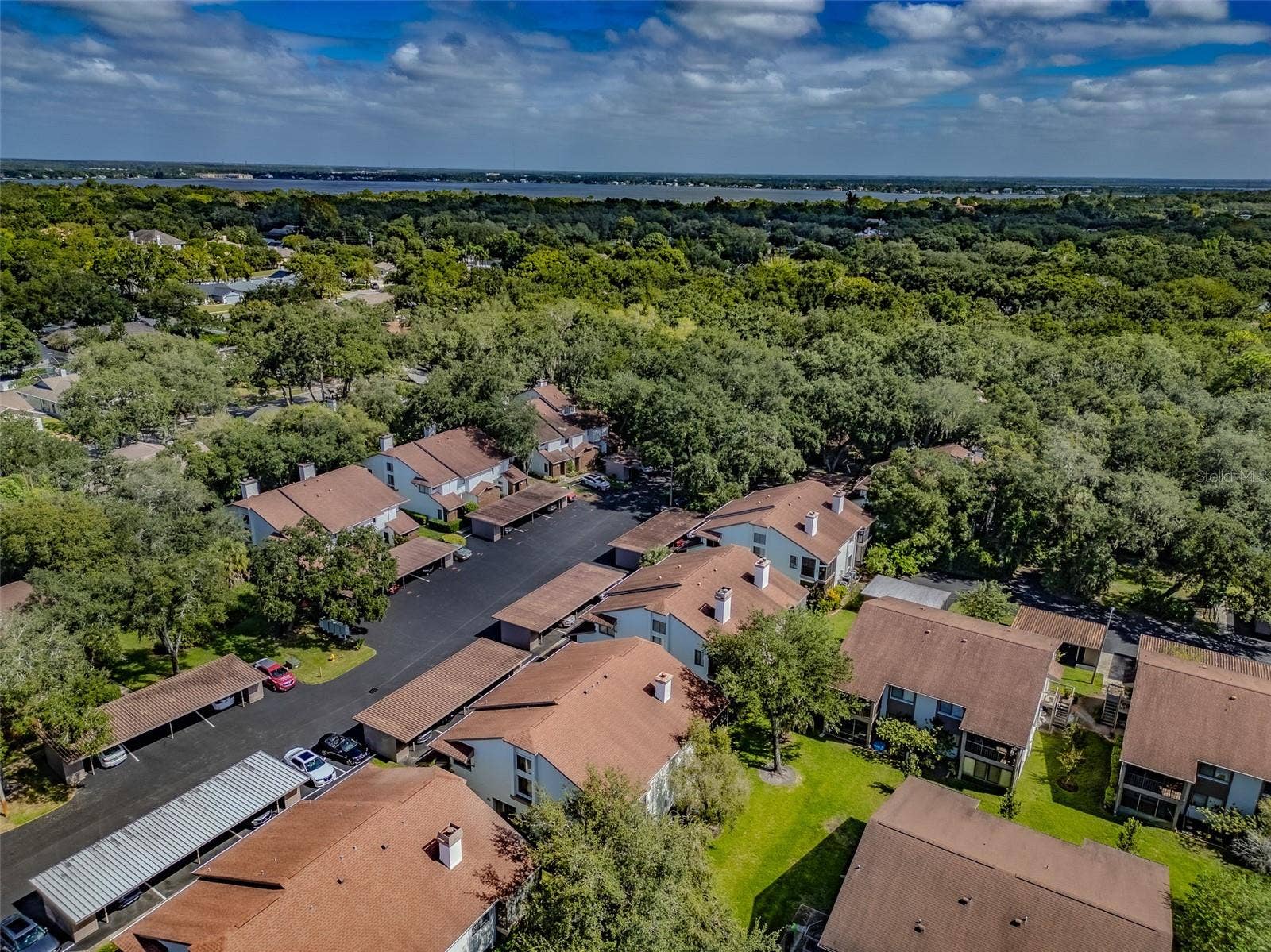 616 FAIRMONT AVENUE, #D, Safety Harbor, FL 34695 616 FAIRMONT AVENUE, #D, Safety Harbor, FL 34695