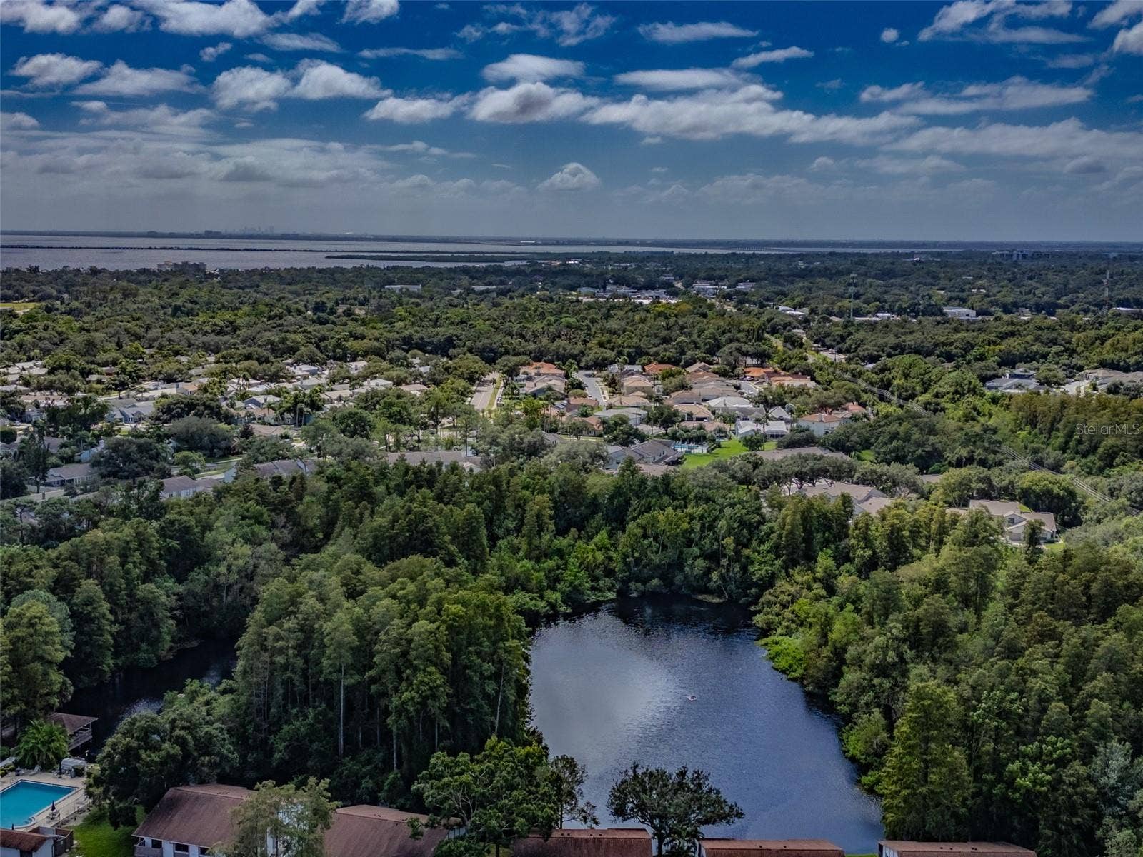 616 FAIRMONT AVENUE, #D, Safety Harbor, FL 34695 616 FAIRMONT AVENUE, #D, Safety Harbor, FL 34695