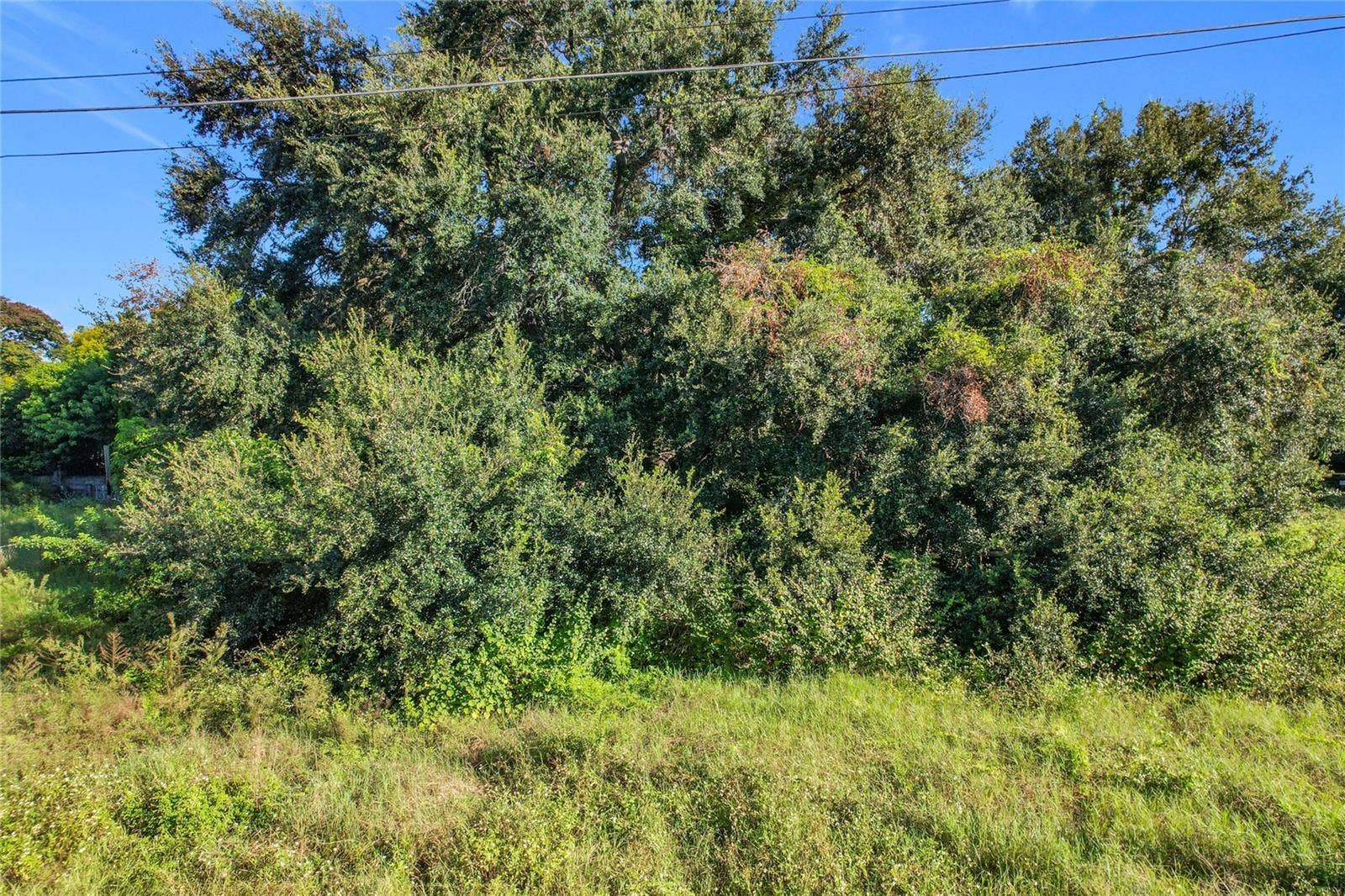 0 38TH STREET NW, Winter Haven, FL 33881