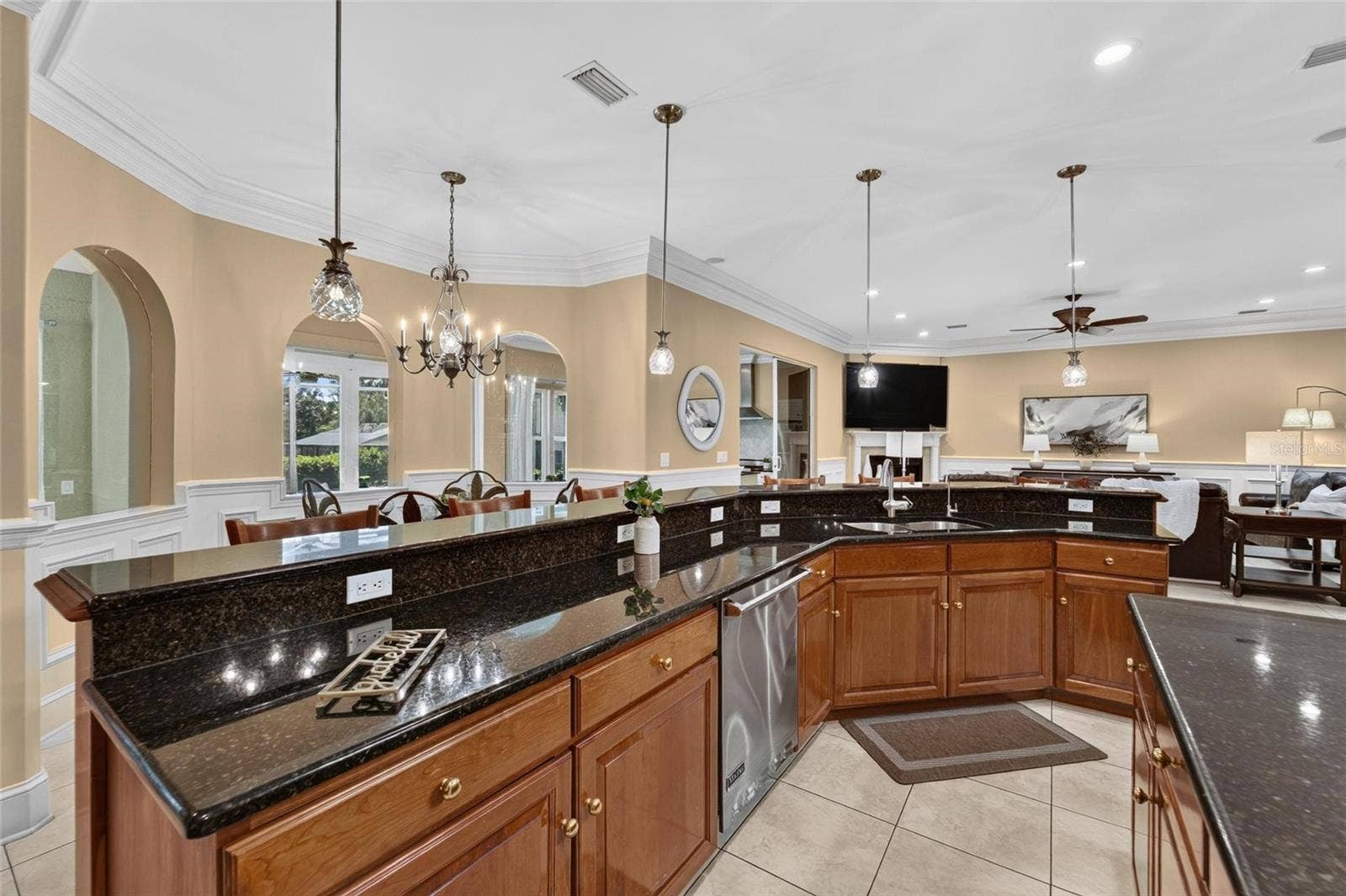 1009 EMERALD CREEK DRIVE, Valrico, FL 33596 1009 EMERALD CREEK DRIVE, Valrico, FL 33596
