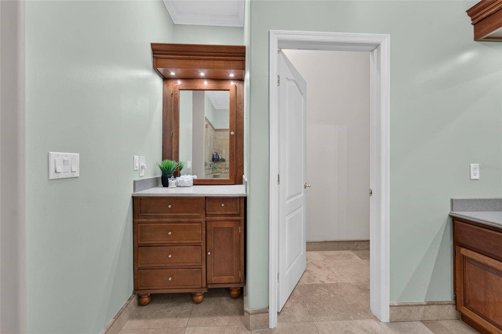 1009 EMERALD CREEK DRIVE, Valrico, FL 33596 Primary bedroom ensuite