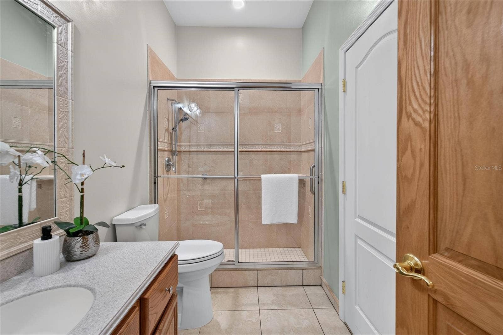 1009 EMERALD CREEK DRIVE, Valrico, FL 33596 4th bedroom ensuite