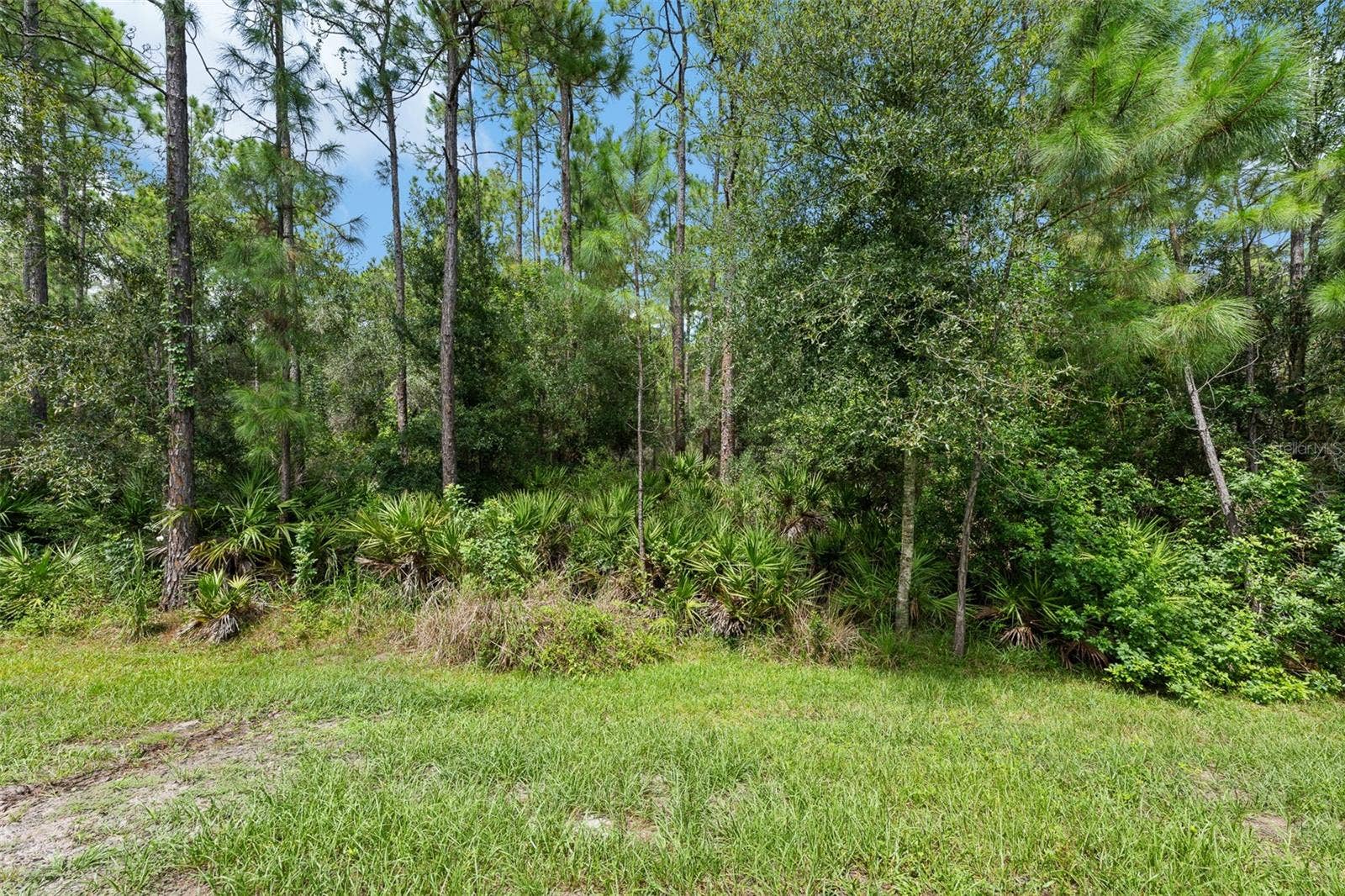 12612 SILVERDALE STREET, Tampa, FL 33626 Conservation Homesite