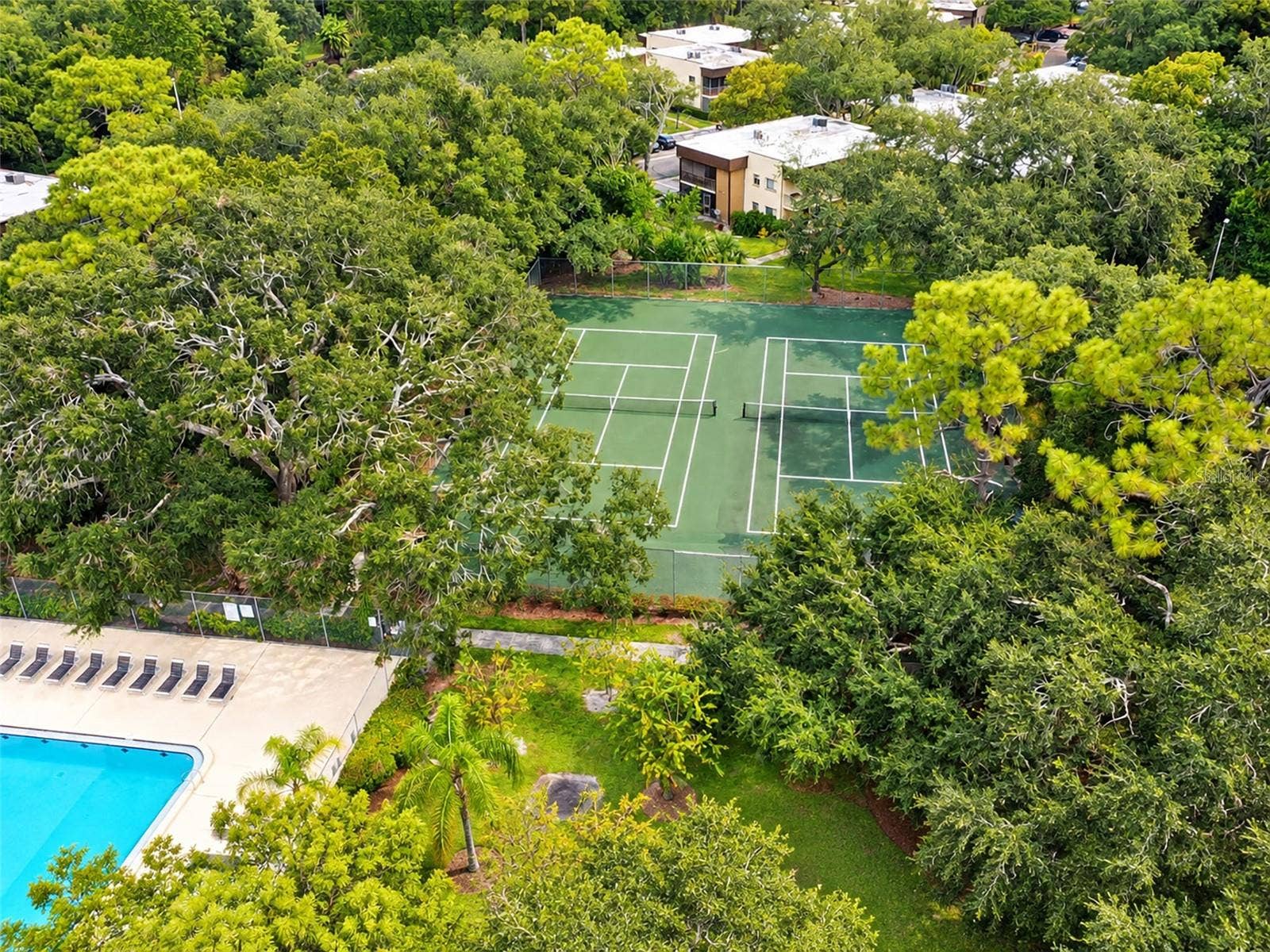 6016 LAKETREE LANE, #C, Temple Terrace, FL 33617 6016 LAKETREE LANE, #C, Temple Terrace, FL 33617