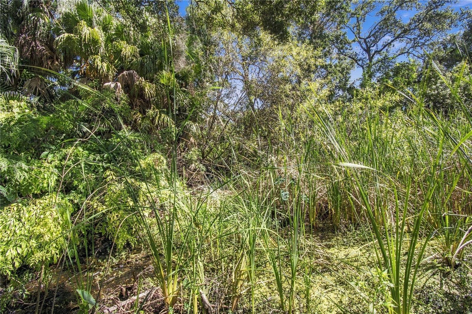 12805 98TH STREET, Largo, FL 33773 12805 98TH STREET, Largo, FL 33773