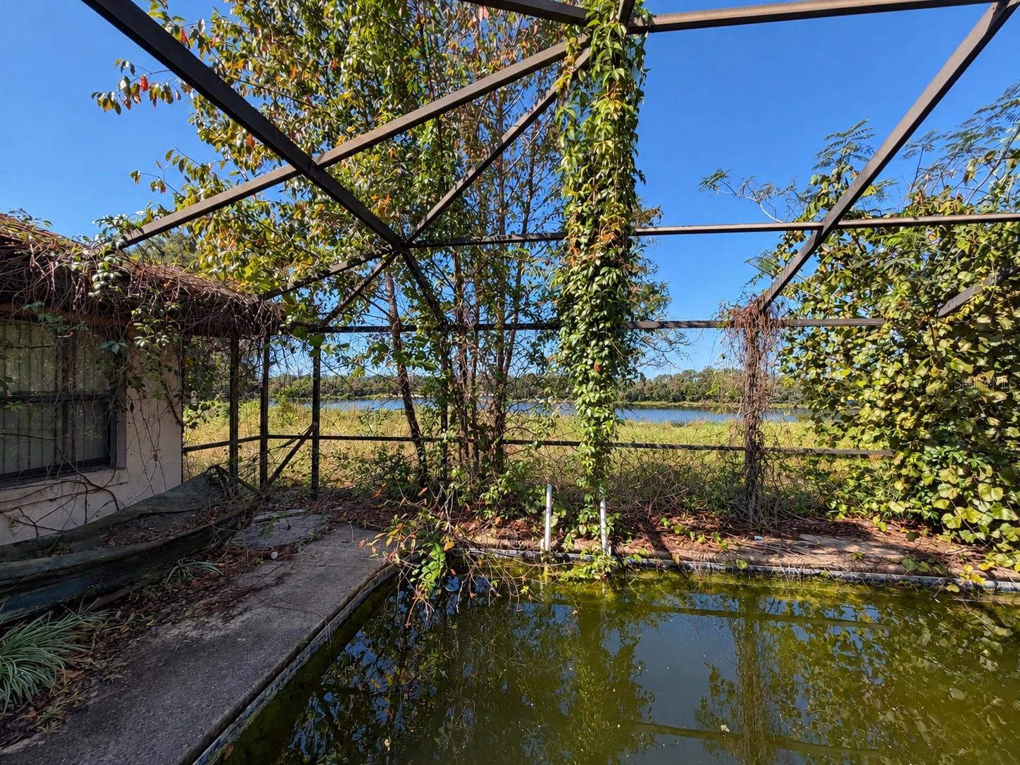 16100 SE 170TH AVENUE, Weirsdale, FL 32195 16100 SE 170TH AVENUE, Weirsdale, FL 32195