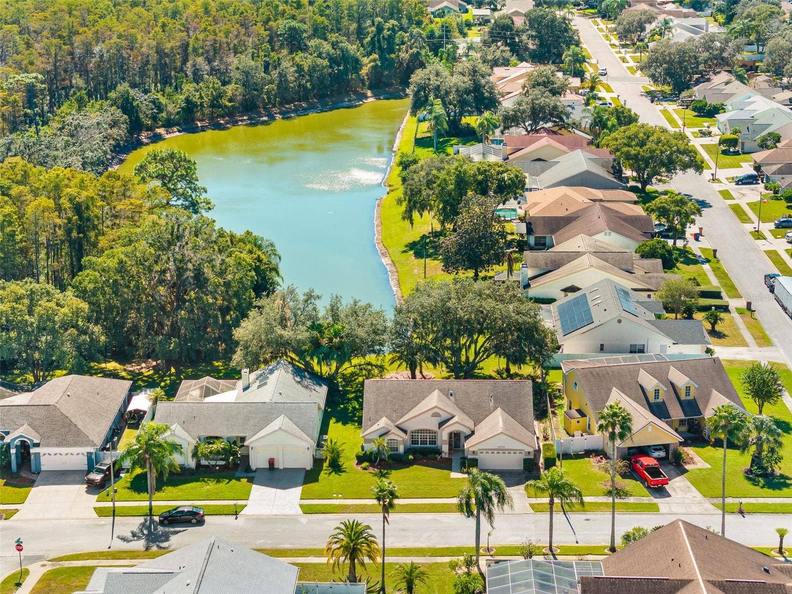 10030 BEEFMASTER COURT, New Port Richey, FL 34655 10030 BEEFMASTER COURT, New Port Richey, FL 34655