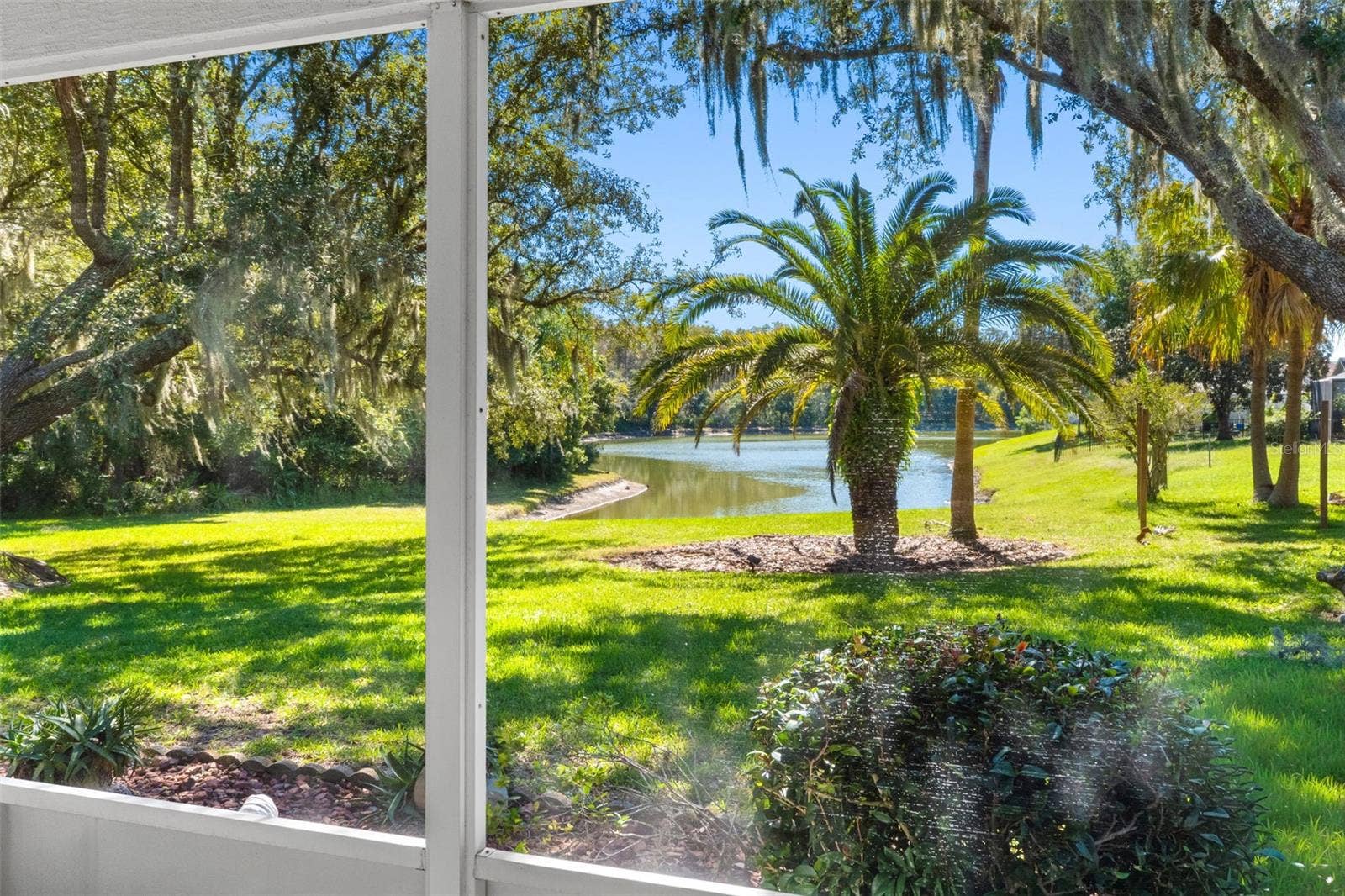 10030 BEEFMASTER COURT, New Port Richey, FL 34655 Pound View
