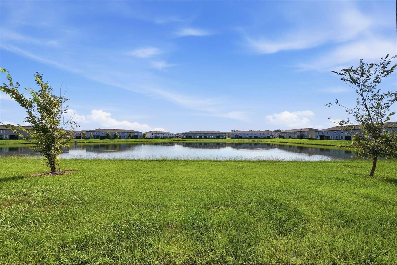 10336 LAVENDER ASTER TRAIL, San Antonio, FL 33576