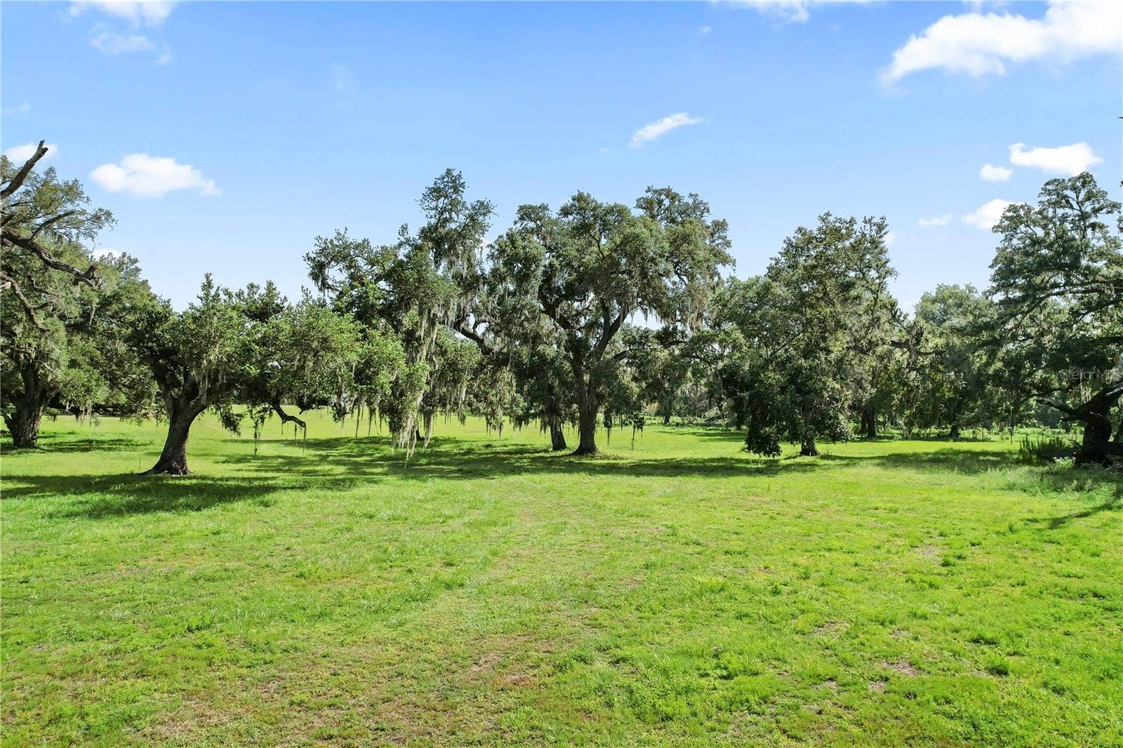 37952 CRYSTAL WAY, Dade City, FL 33523