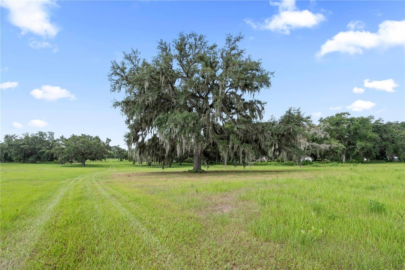 37952 CRYSTAL WAY, Dade City, FL 33523