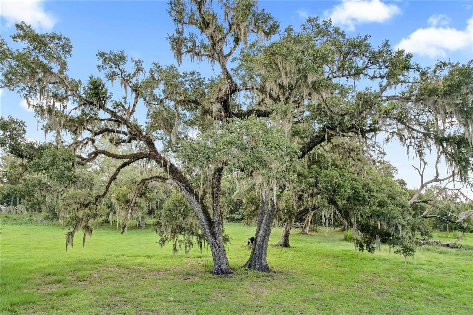 37952 CRYSTAL WAY, Dade City, FL 33523