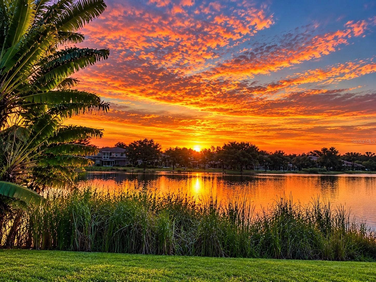 12173 WILD ACRES ROAD, Largo, FL 33773 Start everyday this way