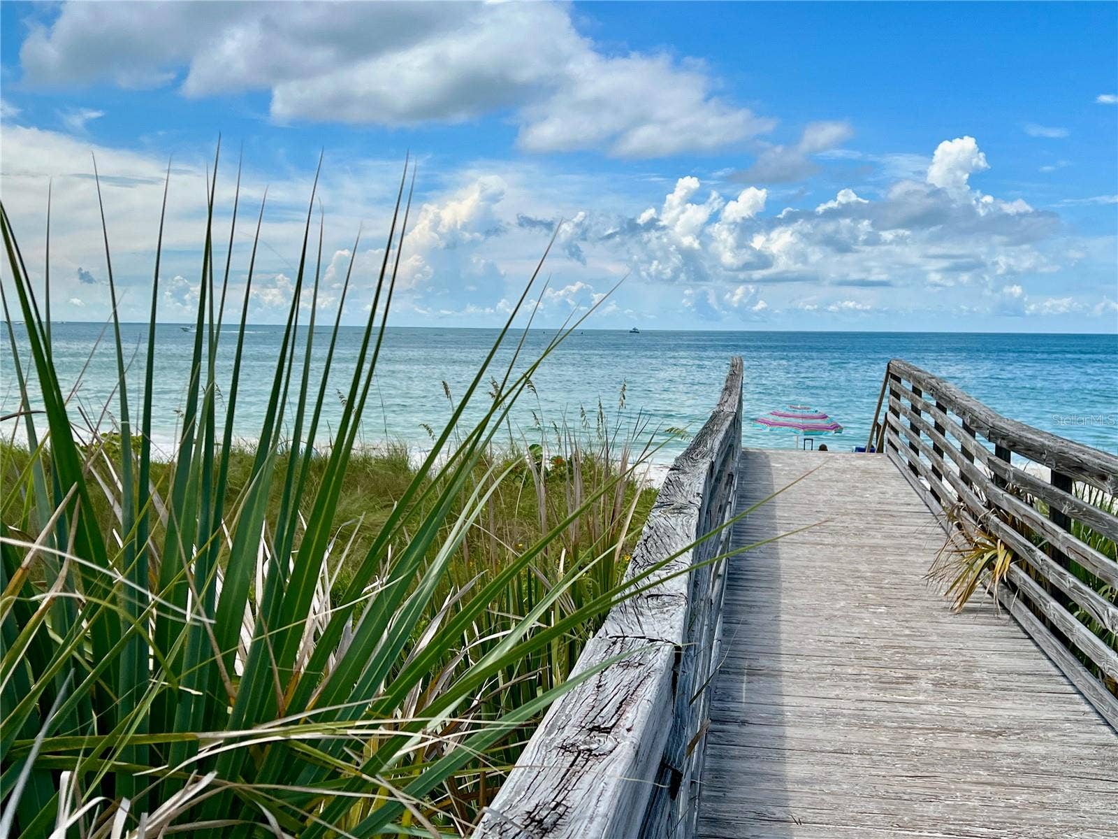 1127 KING ARTHUR COURT, #309, Dunedin, FL 34698 1127 KING ARTHUR COURT, #309, Dunedin, FL 34698