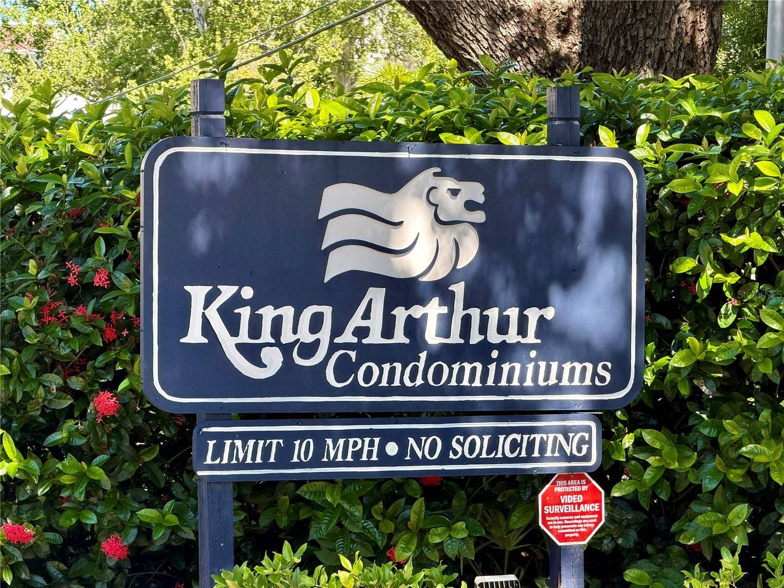 1127 KING ARTHUR COURT, #309, Dunedin, FL 34698 1127 KING ARTHUR COURT, #309, Dunedin, FL 34698