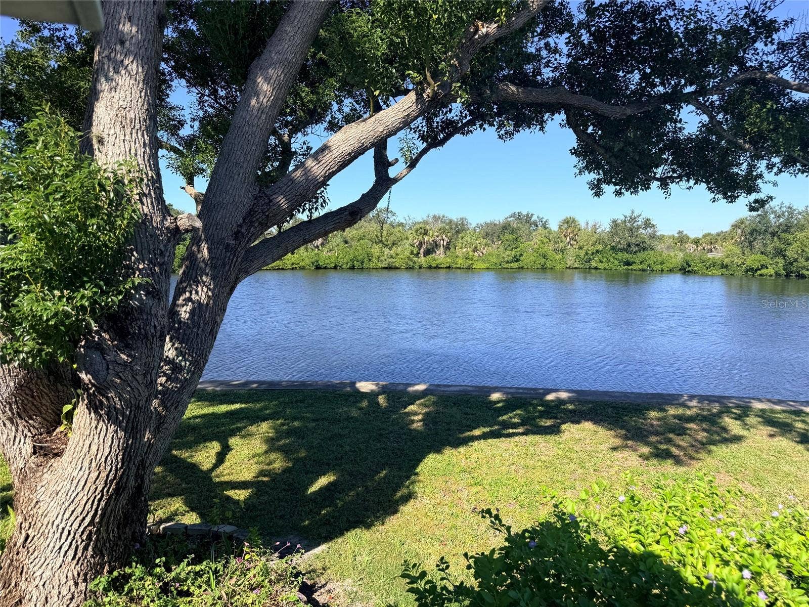 182 N SAINT THOMAS CIRCLE, Apollo Beach, FL 33572 View