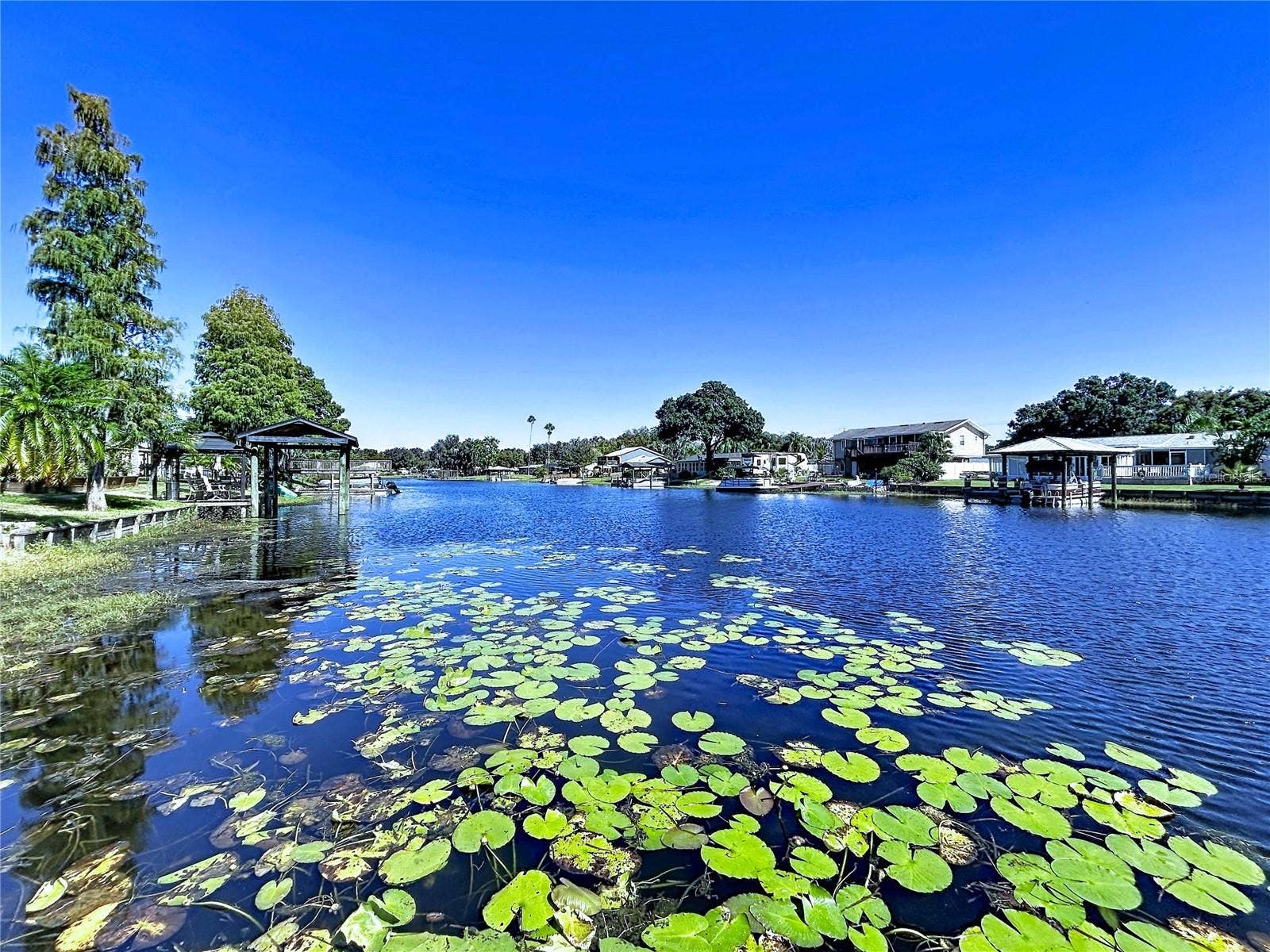 3202 PINE SHADOW DRIVE, Land O Lakes, FL 34639 3202 PINE SHADOW DRIVE, Land O Lakes, FL 34639