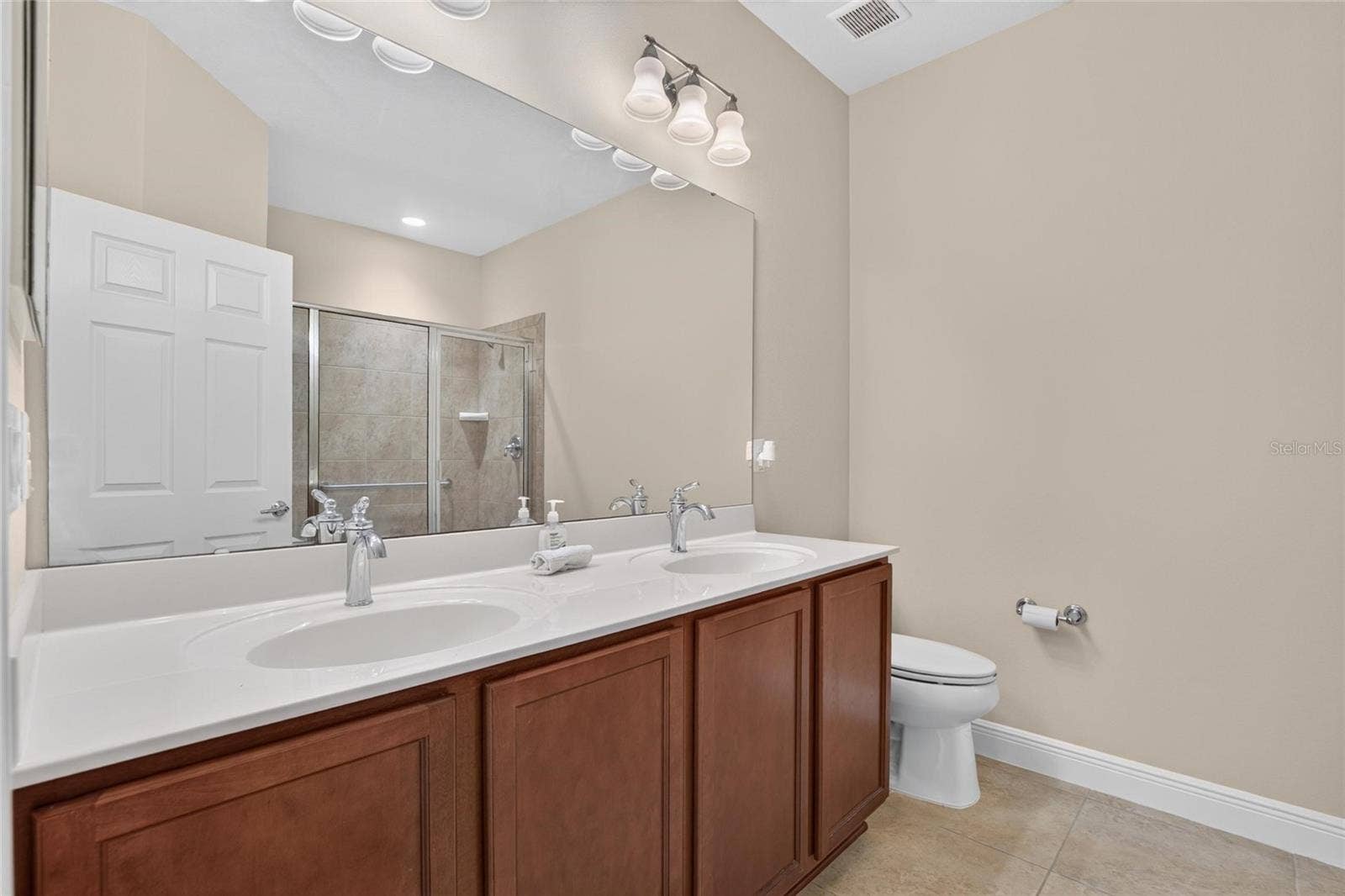 5504 SUNSET FALLS DRIVE, Apollo Beach, FL 33572 Primary Bathroom