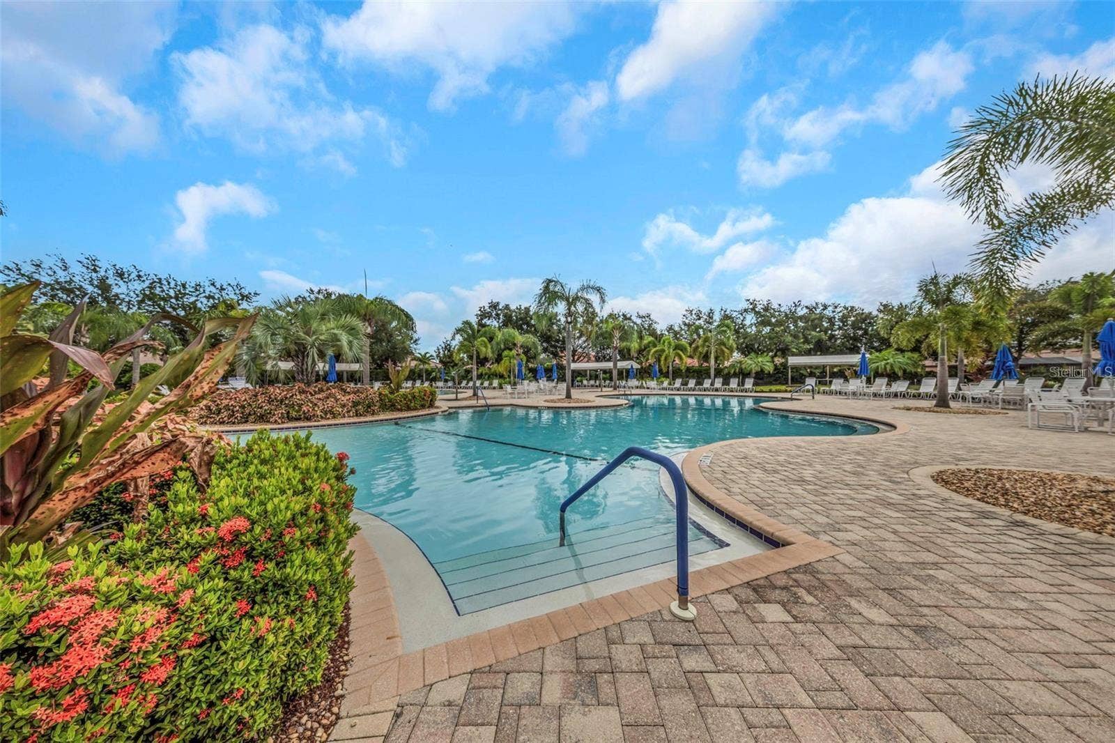 5504 SUNSET FALLS DRIVE, Apollo Beach, FL 33572 community pool